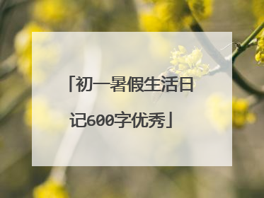 初一暑假生活日记600字优秀