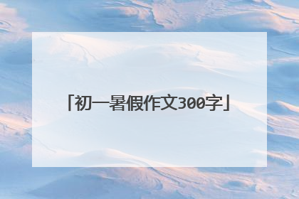 初一暑假作文300字