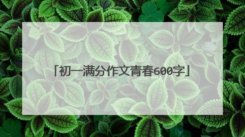 初一满分作文青春600字