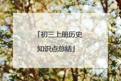 初三上册历史知识点总结