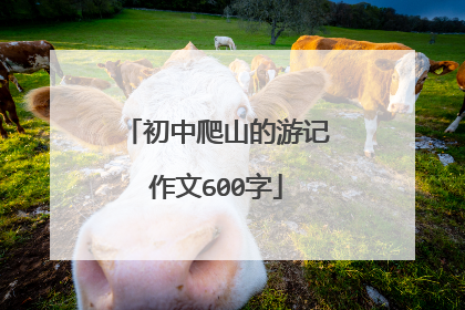 初中爬山的游记作文600字