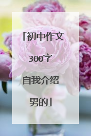 初中作文 300字 自我介绍 男的