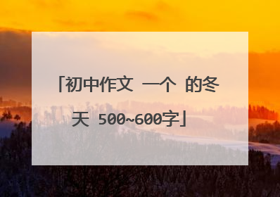 初中作文 一个 的冬天 500~600字