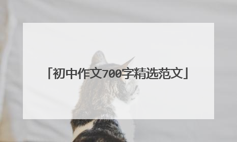 初中作文700字精选范文