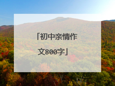 初中亲情作文800字