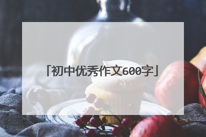 初中优秀作文600字