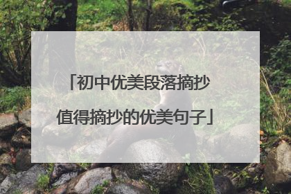 初中优美段落摘抄 值得摘抄的优美句子