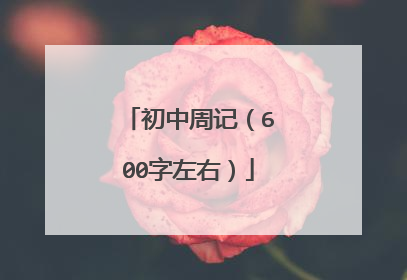 初中周记（600字左右）