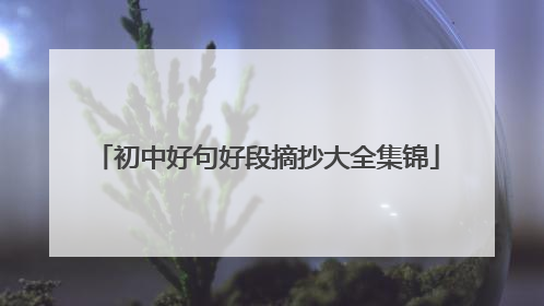 初中好句好段摘抄大全集锦