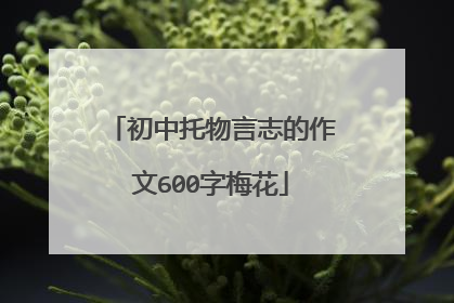 初中托物言志的作文600字梅花