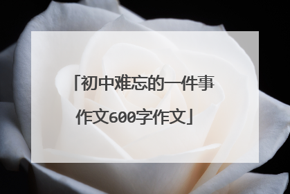 初中难忘的一件事作文600字作文