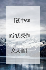 初中600字优秀作文大全