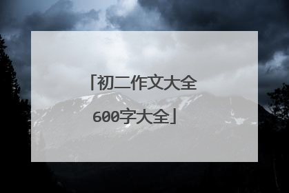 初二作文大全600字大全
