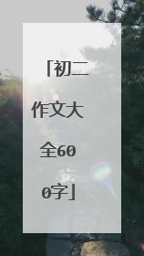 初二作文大全600字