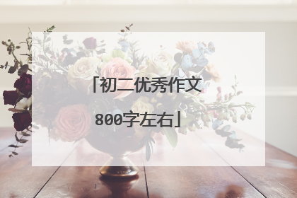 初二优秀作文800字左右