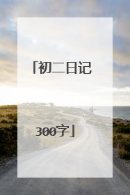 初二日记300字