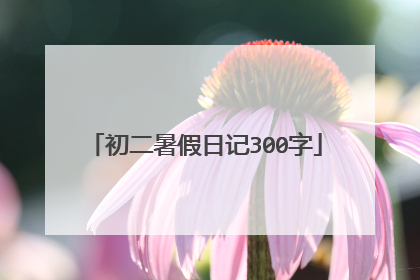 初二暑假日记300字