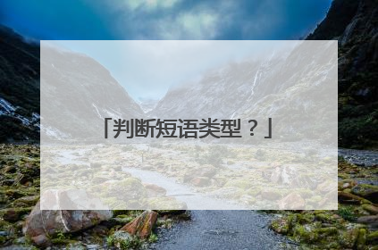判断短语类型?