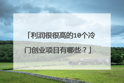 利润很很高的10个冷门创业项目有哪些？