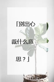 别出心裁什么意思？