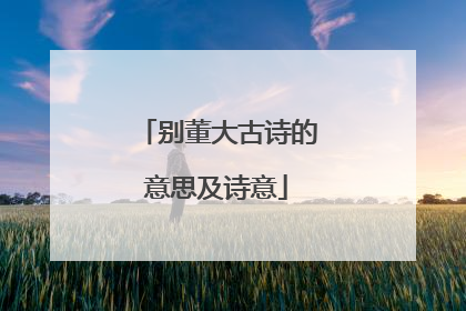 别董大古诗的意思及诗意