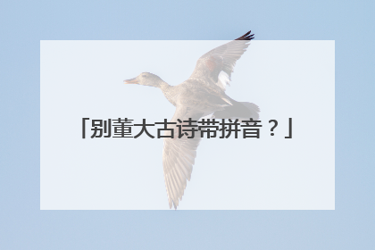 别董大古诗带拼音?