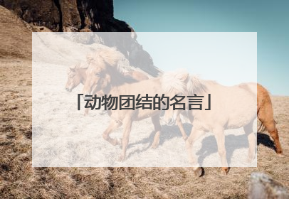 动物团结的名言