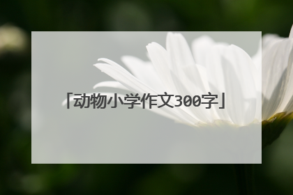 动物小学作文300字