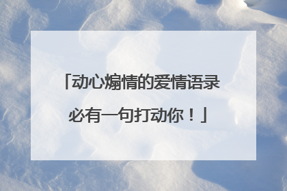 动心煽情的爱情语录 必有一句打动你！