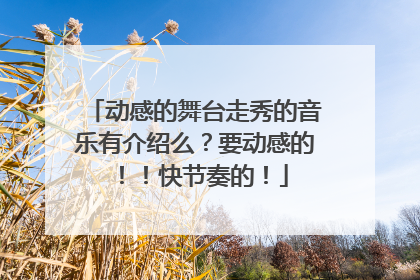 动感的舞台走秀的音乐有介绍么？要动感的！！快节奏的！