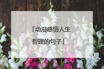 动漫感悟人生哲理的句子