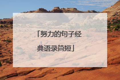 努力的句子经典语录简短