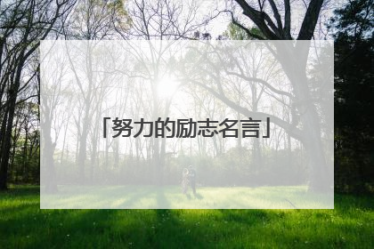 努力的励志名言