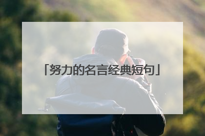 努力的名言经典短句