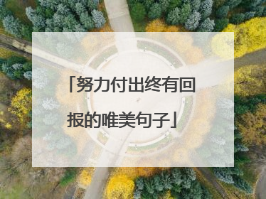 努力付出终有回报的唯美句子