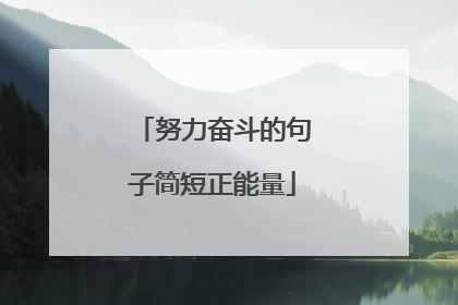 努力奋斗的句子简短正能量