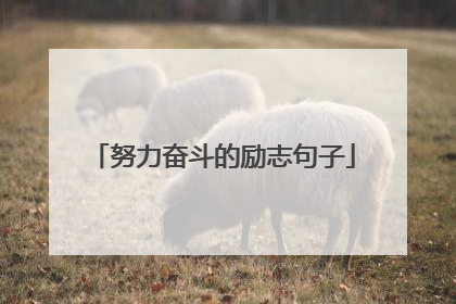 努力奋斗的励志句子