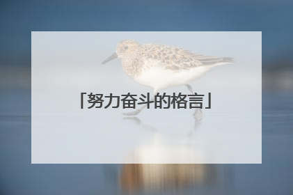 努力奋斗的格言