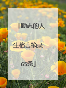 励志的人生格言摘录65条