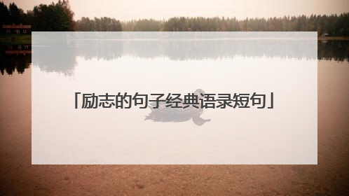 励志的句子经典语录短句
