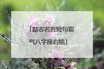 励志名言短句霸气八字座右铭