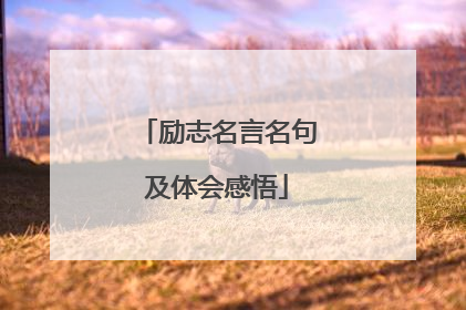 励志名言名句及体会感悟