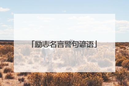 励志名言警句谚语