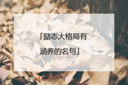 励志大格局有涵养的名句