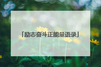 励志奋斗正能量语录