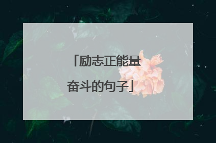 励志正能量奋斗的句子