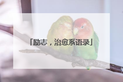 励志,治愈系语录