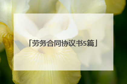 劳务合同协议书5篇
