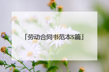 劳动合同书范本5篇