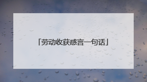 劳动收获感言一句话
